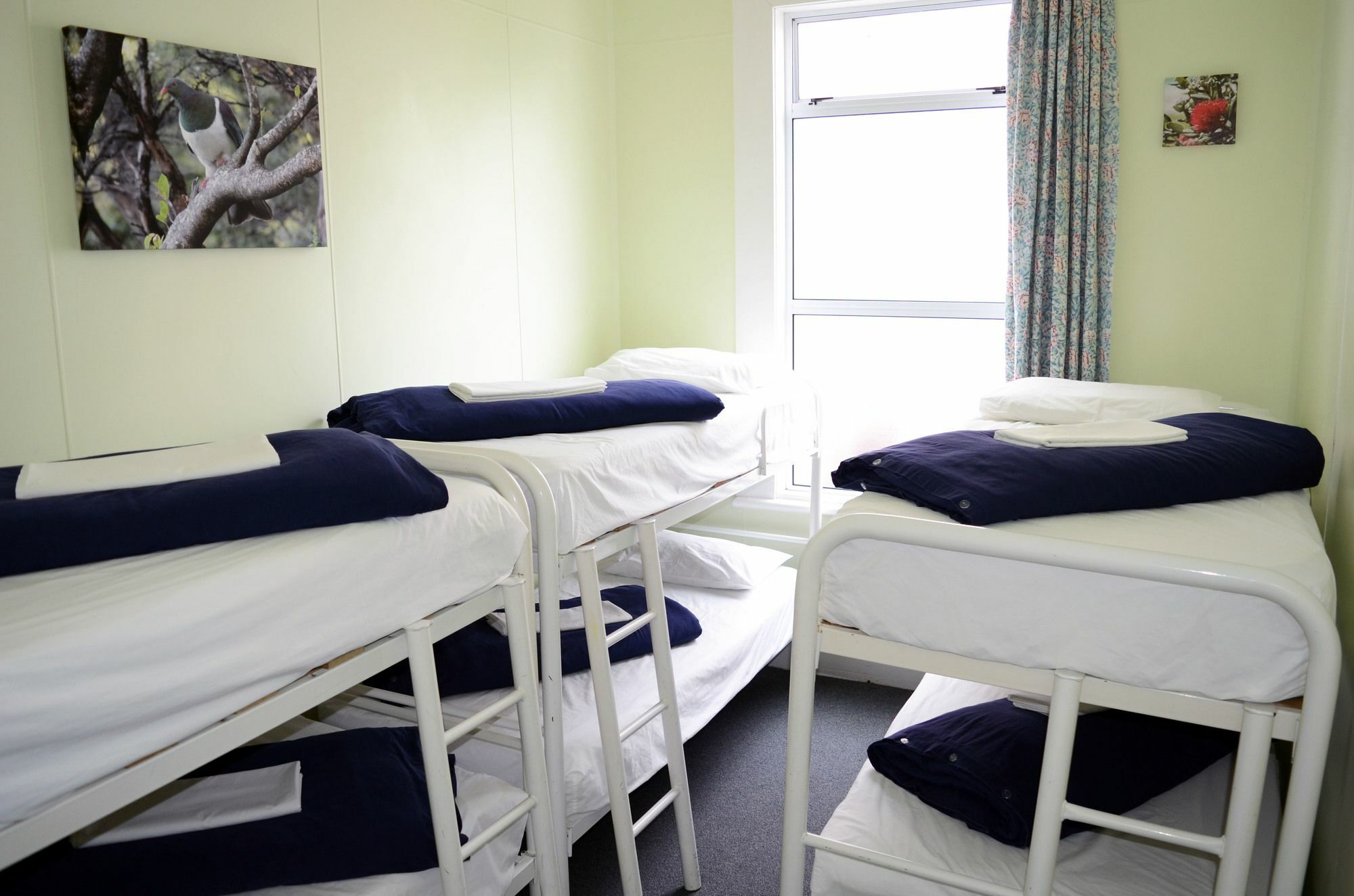 וונגאנואי Braemar House B&B And Yha Hostel מראה חיצוני תמונה