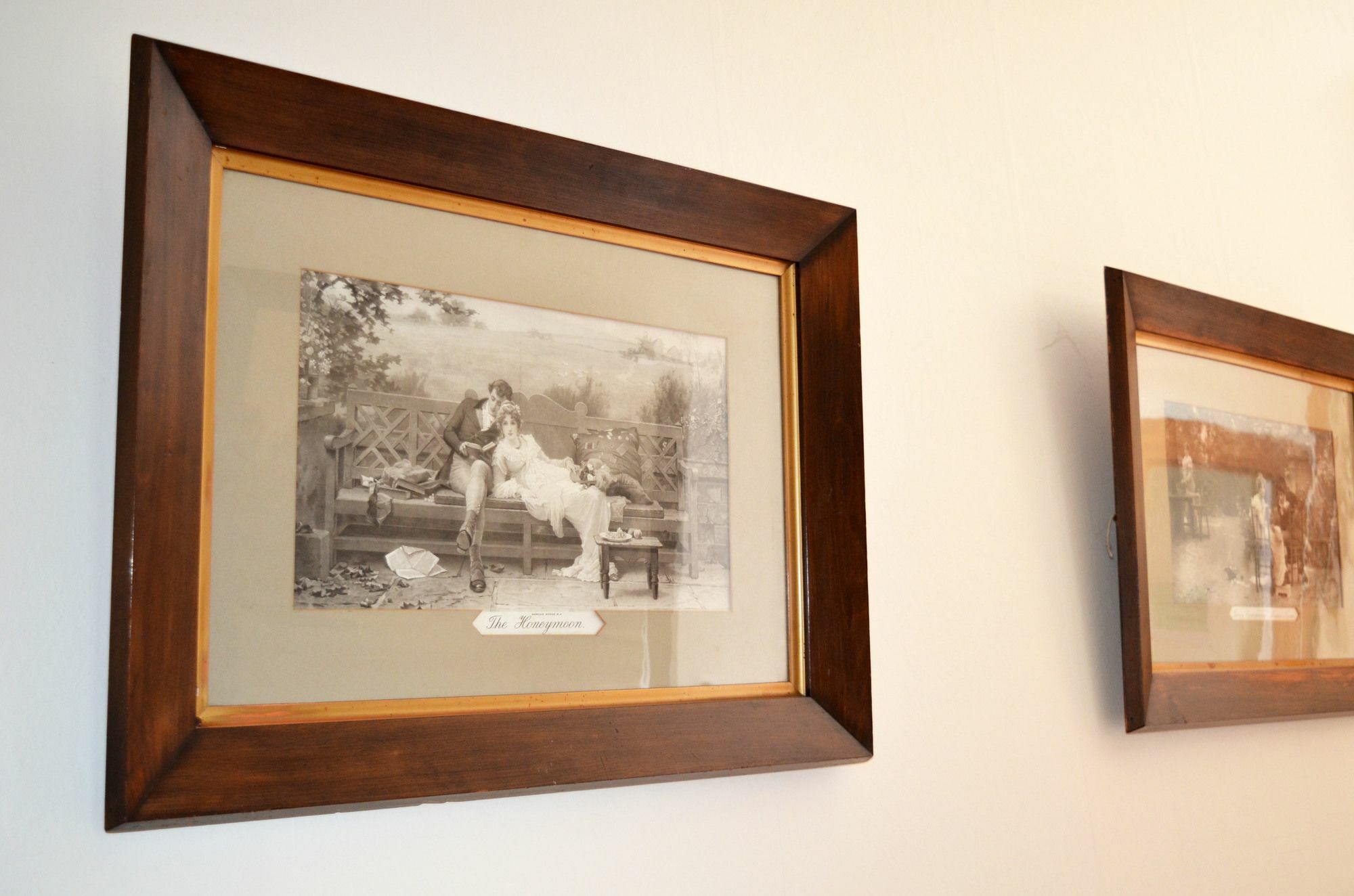 וונגאנואי Braemar House B&B And Yha Hostel מראה חיצוני תמונה